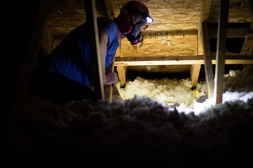 Attic Insulation Removal